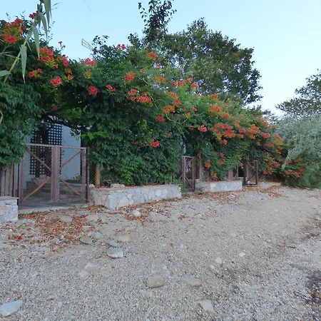 Isalos Κορωπί