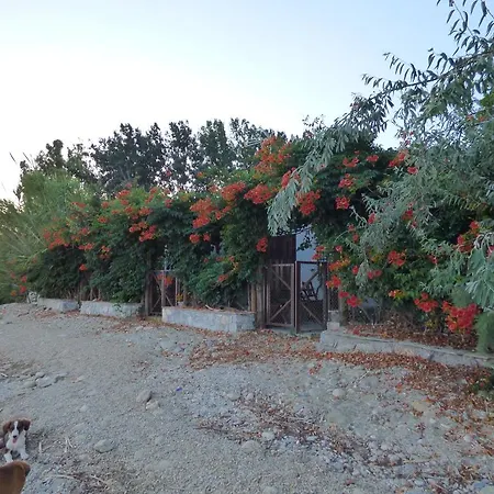 Isalos